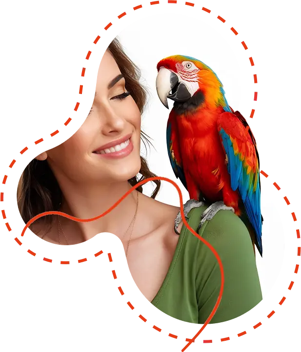 Perches