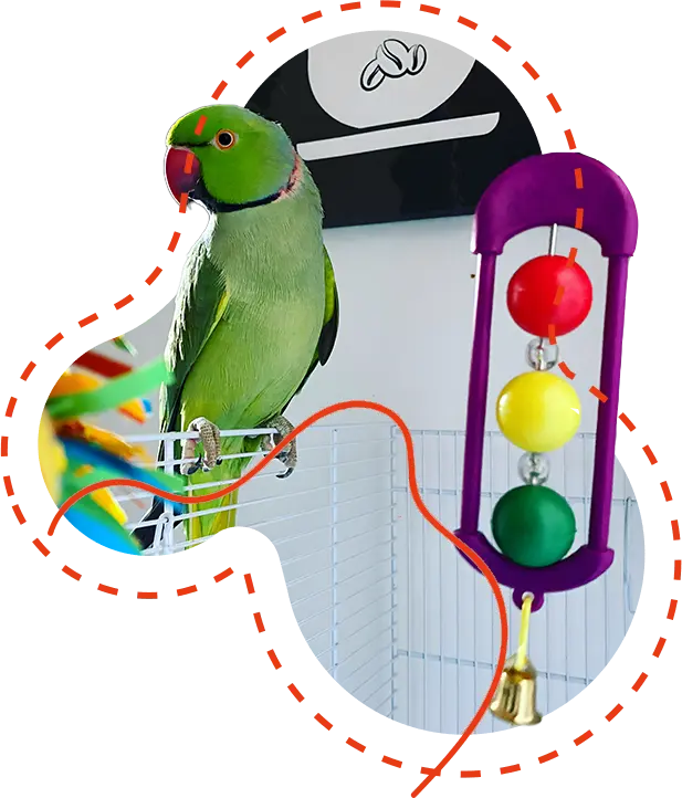 Toys Form