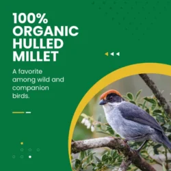 100% Organic Hulled Millet