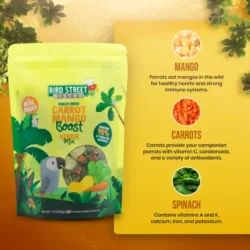 Carrot Mango Boost - Parrot Veggies Mix Item