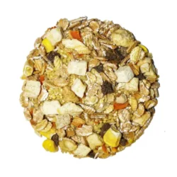 tropical-feast-on-the-fly-food