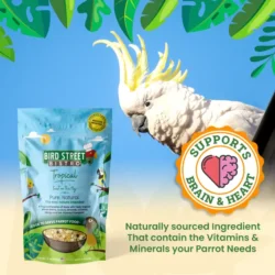 tropical-feast-on-the-fly-support