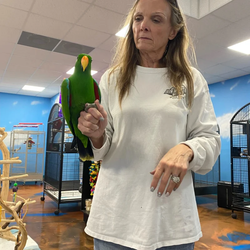 Merlin with Cheri