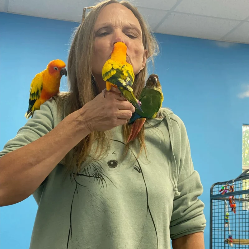 Munchie Mia & Paco Sun Conure