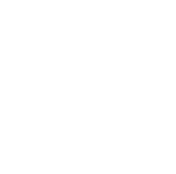 custom diet icon