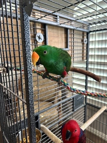 Rosie and Simon Pic 2