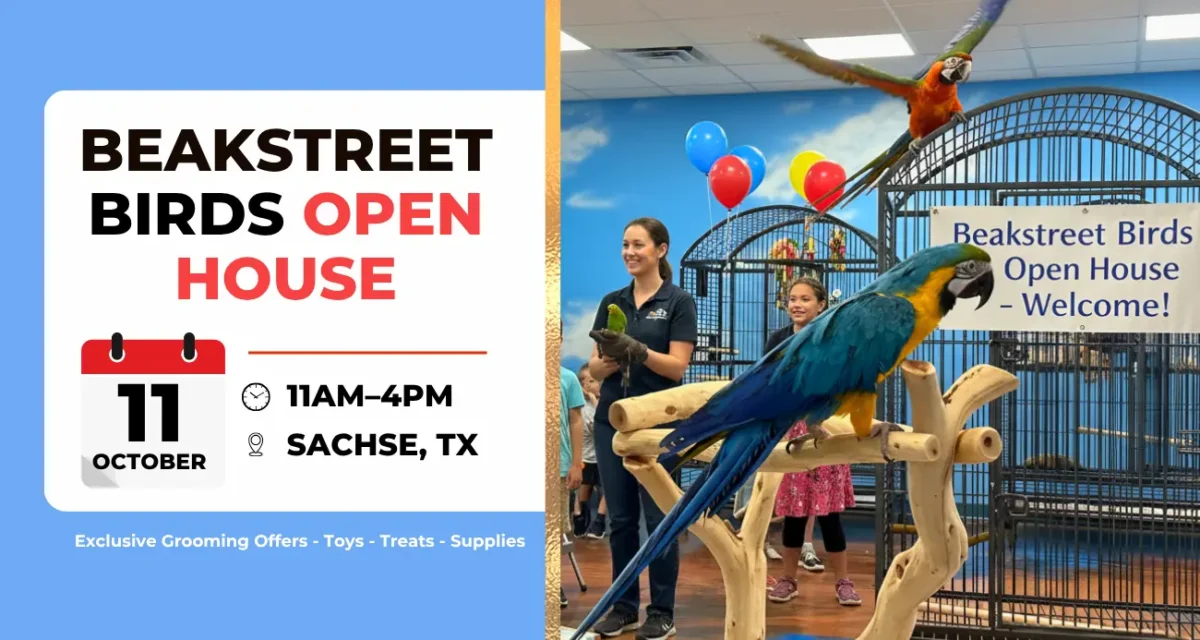 Beakstreet Birds Open House – October 11th!