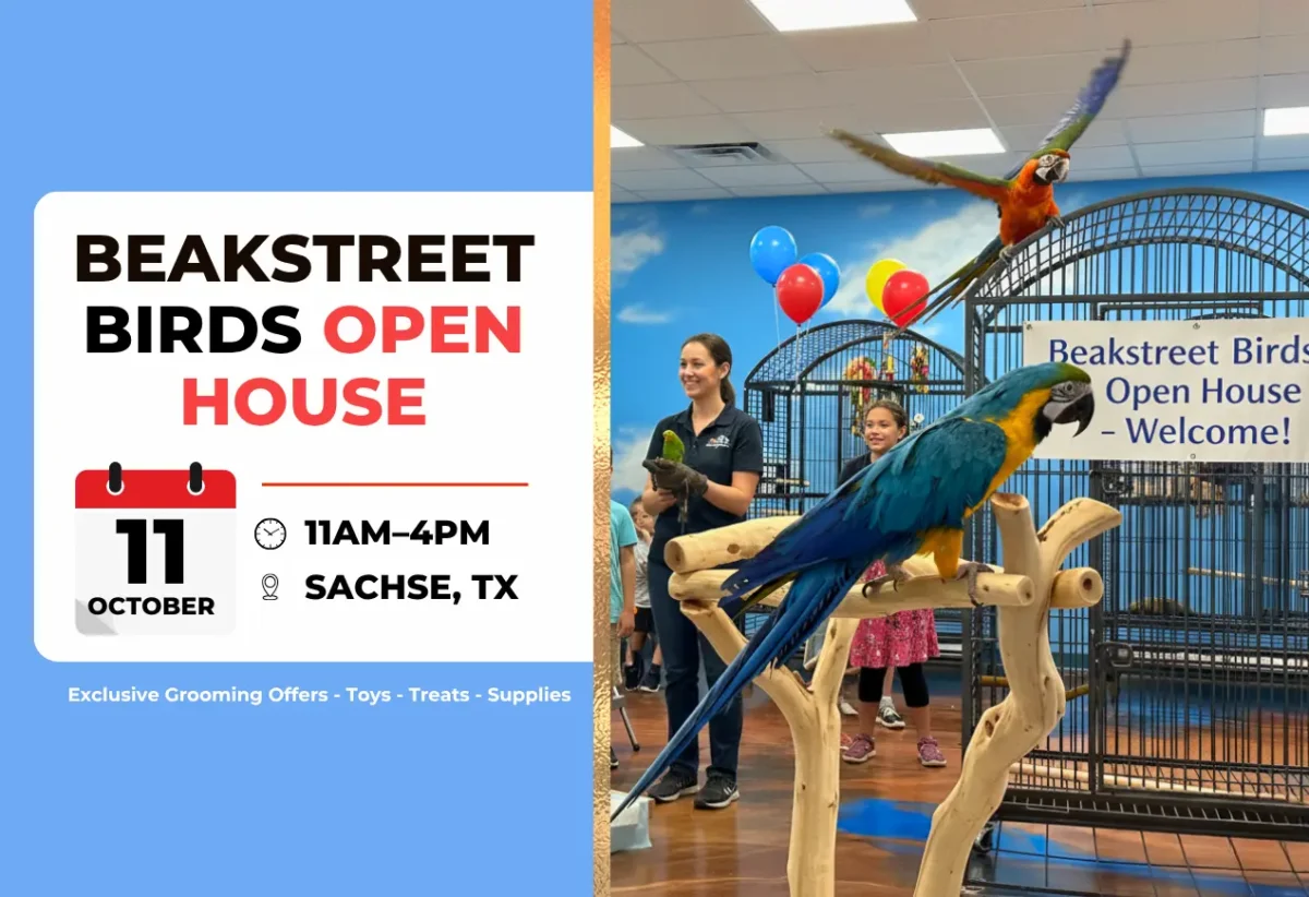 Beakstreet Birds Open House – October 11th!